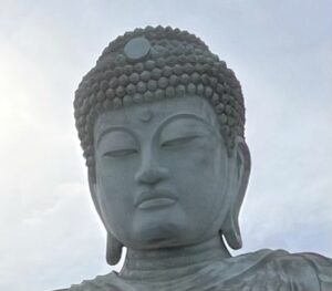 【辛口評価】「兵庫大仏」　車の窓からこんにちは！